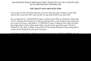 Quyết định 2774/QĐ-UBND 2014 triển khai thực thi quyền tác giả quyền liên quan Đắk Lắk