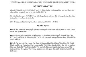 Quyết định 4600/QĐ-BYT 2014 hướng dẫn chẩn đoán điều trị bệnh do vi rút Ebola