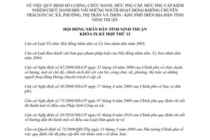 Nghị quyết 30/2014/NQ-HĐND chức danh mức phụ cấp người hoạt động không chuyên trách Ninh Thuận