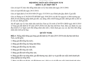 Nghị quyết 25/2014/NQ-HĐND Bảng giá đất định kỳ 05 năm 2015 2019 Kon Tum