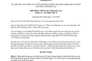 Nghị quyết 124/NQ-HĐND 2014 đặt tên mới tuyến đường thuộc thị trấn Nhơn Hòa Gia Lai