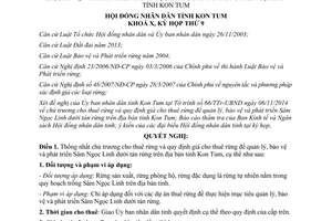 Nghị quyết 31/2014/NQ-HĐND cho thuê rừng giá cho thuê rừng bảo vệ phát triển Sâm Ngọc Linh Kon Tum