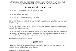 Quyết định 75/2014/QĐ-UBND giá cho thuê rừng quản lý bảo vệ phát triển Sâm Ngọc Linh dưới tán rừng Kon Tum