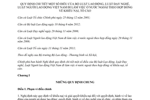 Nghị định 119/2014/NĐ-CP hướng dẫn Bộ luật Lao động Luật Dạy nghề lao động đi làm việc ở nước ngoài khiếu nại tố cáo