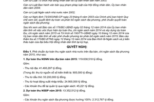 Nghị quyết 29/2014/NQ-HĐND phê chuẩn phương án phân bổ ngân sách 2015 Bà Rịa Vũng Tàu