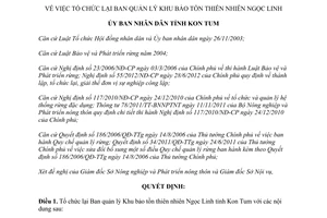 Quyết định 80/2014/QĐ-UBND tổ chức lại Ban quản lý Khu bảo tồn thiên nhiên Ngọc Linh Kon Tum