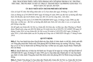 Quyết định 43/2014/QĐ-UBND chức danh chế độ chính sách Tổng phụ trách Đội Thiếu niên Hồ Chí Minh