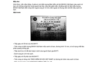 Công văn 3994/BHXH-NVGĐ1 năm 2014 mẫu thẻ Bảo hiểm y tế mã số trên thẻ Bảo hiểm y tế Hồ Chí Minh