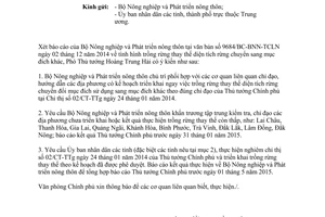 Công văn 10065/VPCP-KTN 2014 trồng rừng thay thế diện tích rừng chuyển sang mục đích khác