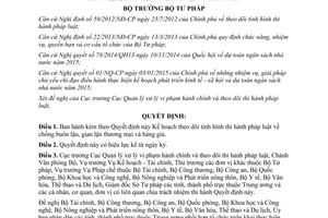 Quyết định 227/QĐ-BTP 2015 tình hình thi hành pháp luật chống buôn lậu gian lận thương mại hàng giả