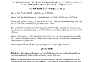 Quyết định 02/2015/QĐ-UBN chi mức chi cải cách hành chính nhà nước Quảng Ngãi
