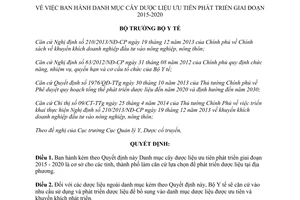 Quyết định 206/QĐ-BYT 2015 Danh mục cây dược liệu ưu tiên phát triển giai đoạn 2015 2020