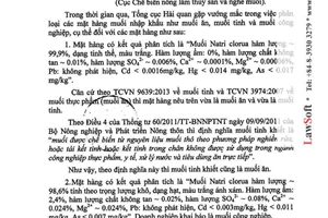 Công văn 197/TCHQ-TXNK 2015 phân biệt mặt hàng muối nhập khẩu