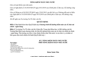 Quyết định 52/QĐ-KTNN 2015 bồi dưỡng kiểm toán các tổ chức tài chính ngân hàng