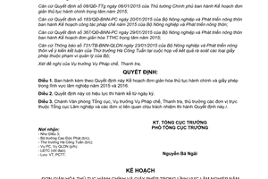 Quyết định 71/QĐ-TCLN-PCTT 2015 đơn giản hóa thủ tục hành chính giấy phép trong lĩnh vực lâm nghiệp