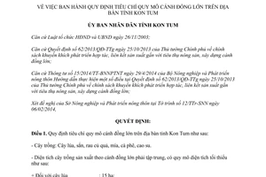 Quyết định 91/QĐ-UBND 2015 quy định tiêu chí quy mô cánh đồng lớn Kon Tum