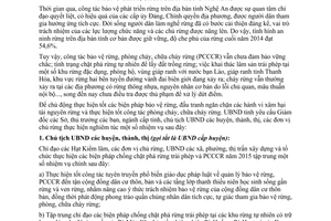 Chi thị 06/2015/CT-UBND biện pháp chống chặt phá rừng trái phép phòng chữa cháy rừng Nghệ An