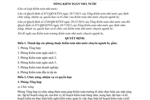 Quyết định 213/QĐ-KTNN 2015 chức năng quyền hạn phòng thuộc Kiểm toán nhà nước chuyên ngành IA