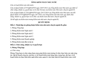 Quyết định 228/QĐ-KTNN 2015 chức năng quyền hạn phòng thuộc Kiểm toán nhà nước chuyên ngành IB