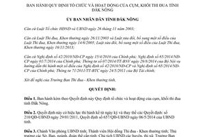 Quyết định 291/QĐ-UBND 2015 tổ chức hoạt động của cụm khối thi đua Đắk Nông