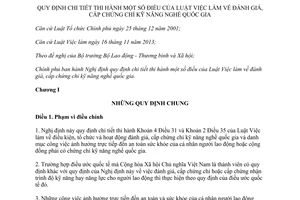 Nghị định 31/2015/NĐ-CP hướng dẫn Luật Việc làm về đánh giá cấp chứng chỉ kỹ năng nghề quốc gia