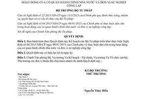 Quyết định 541/QĐ-BTP 2015 thực hiện Nghị định 04/2015/NĐ-CP