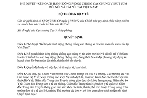 Quyết định 1067/QĐ-BYT 2015 phòng chống các chủng vi rút cúm mới nổi tái nổi tại Việt Nam
