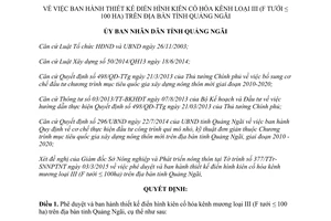 Quyết định 82/QĐ-UBND thiết kế điển hình kiên cố hóa kênh mương loại III Quảng Ngãi 2015