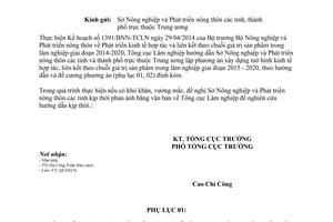 Công văn 282/TCLN-QLSXLN 2015 mô hình kinh tế hợp liên kết theo chuỗi giá trị sản phẩm trong lâm nghiệp