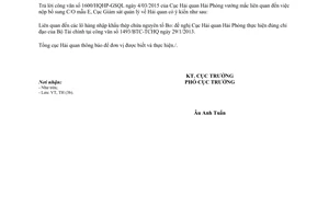 Công văn 229/GSQL-TH 2015 vướng mắc C/O mẫu E