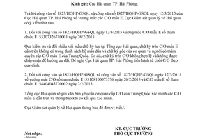 Công văn 234/GSQL-TH 2015 vướng mắc C/O mẫu E