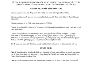 Quyết định 19/2015/QĐ-UBND chức năng cơ cấu tổ chức Ban quản lý rừng phòng hộ Đăk Hà Kon Tum