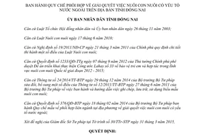 Quyết định 900/QĐ-UBND 2015 giải quyết việc nuôi con nuôi có yếu tố nước ngoài Đồng Nai