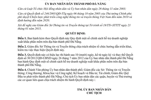 Quyết định 10/2015/QĐ-UBND hỗ trợ doanh nghiệp xuất khẩu phần mềm Đà Nẵng