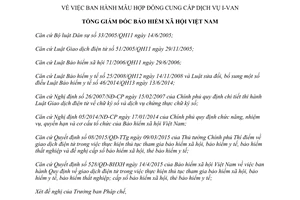 Quyết định 540/QĐ-BHXH 2015 mẫu hợp đồng cung cấp dịch vụ I-VAN