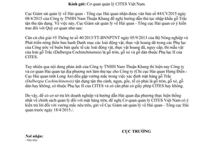 Công văn 311/GSQL-GQ1 2015 thủ tục nhập khẩu gỗ Trắc tận dụng tận thu