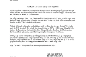 Công văn 651/BVTV-KD 2015 kiểm dịch thực vật vật liệu đóng gói bằng gỗ