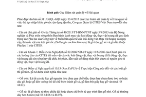 Công văn 87/CTVN-THGP 2015 nhập khẩu gỗ trắc tận dụng tận thu