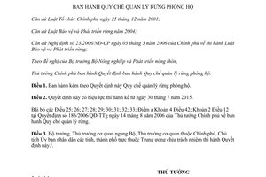 Quyết định 17/2015/QĐ-TTg Quy chế quản lý rừng phòng hộ