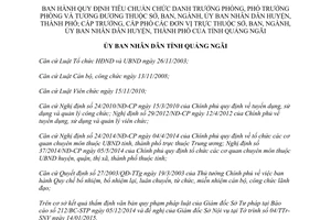 Quyết định 26/2015/QĐ-UBND tiêu chuẩn Trưởng phòng sở ban Ủy ban nhân dân Quảng Ngãi