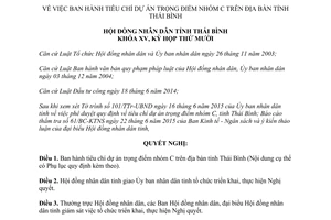 Nghị quyết 10/2015/NQ-HĐND tiêu chí dự án trọng điểm nhóm C Thái Bình