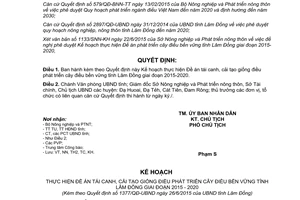Quyết định 1377/QĐ-UBND 2015 Đề án phát triển cây điều bền vững Lâm Đồng 2015 2020