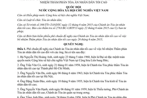 Nghị quyết 95/2015/QH13 phê chuẩn đề nghị bổ nhiệm Thẩm phán Tòa án nhân dân tối cao