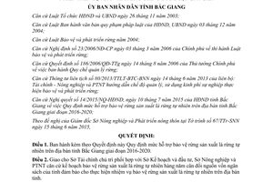 Quyết định 325/2015/QĐ-UBND về mức hỗ trợ bảo vệ rừng sản xuất là rừng tự nhiên Bắc Giang