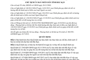 Quyết định 1159/QĐ-UBND chế độ trợ giúp xã hội đối tượng bảo trợ xã hội Bắc Kạn