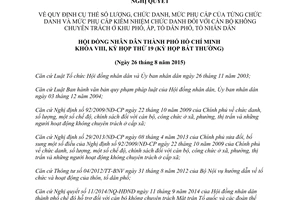 Nghị quyết 06/2015/NQ-HĐND chức danh phụ cấp kiêm nhiệm cán bộ không chuyên trách Hồ Chí Minh