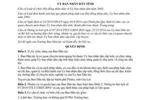 Quyết định 19/2015/QĐ-UBND chức năng nhiệm vụ quyền hạn cơ cấu tổ chức ban dân tộc Gia Lai