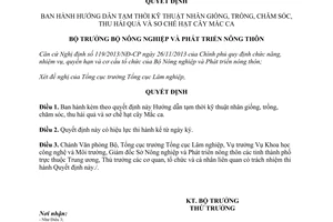 Quyết định 3087/QĐ-BNN-TCLN 2015 hướng dẫn nhân giống trồng thu hái quả sơ chế hạt cây Mắc ca