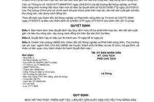 Quyết định 30/2015/QĐ-UBND hỗ trợ phát triển sản xuất tiêu thụ nông sản xây dựng cánh đồng lớn Cà Mau