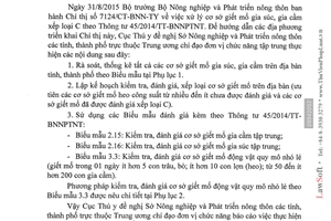 Công văn 1690/TY-TYCD hướng dẫn xử lý cơ sở giết mổ gia súc gia cầm xếp loại C